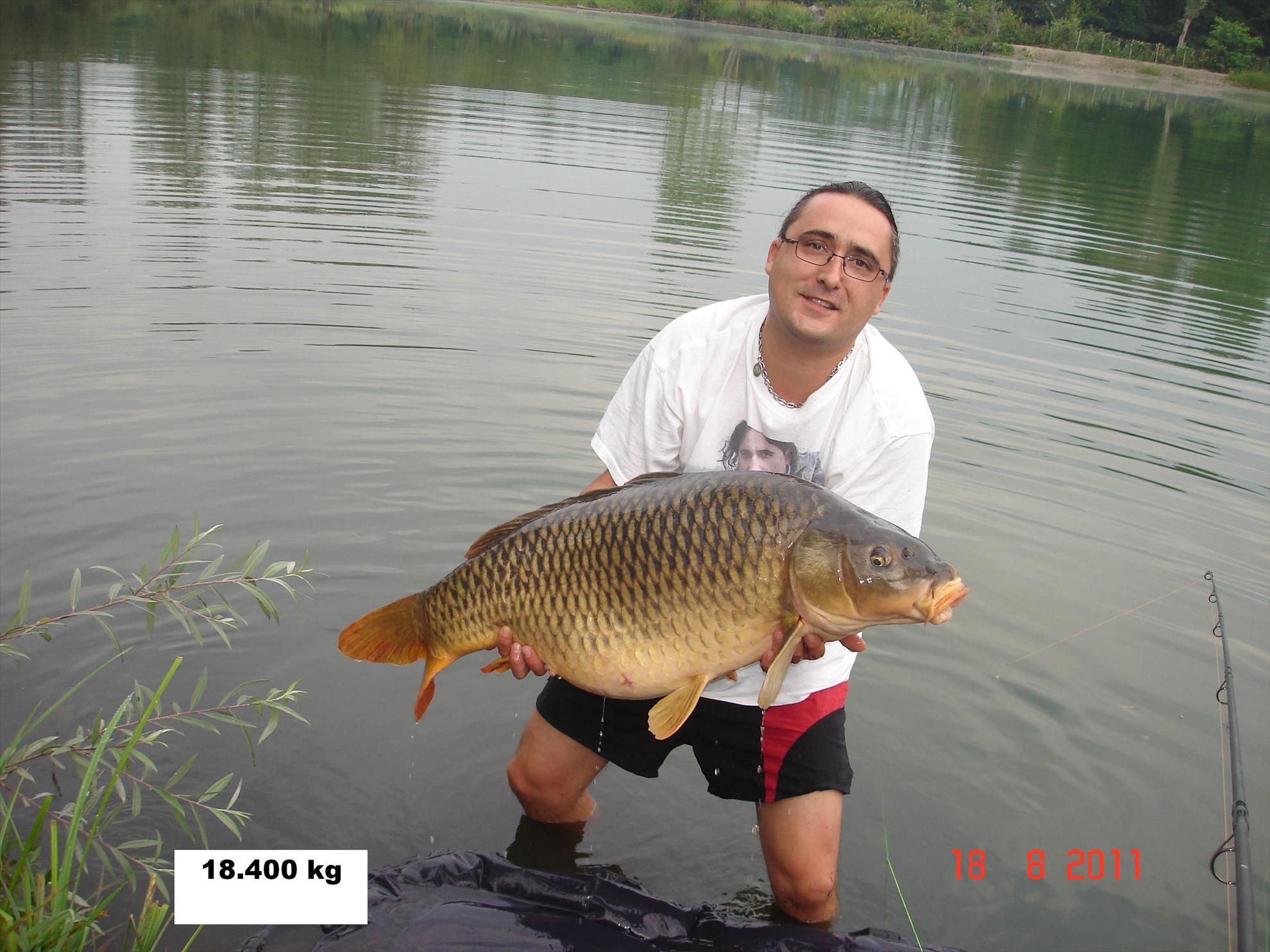 THE BIGS OF 2011 - p1000118.JPG